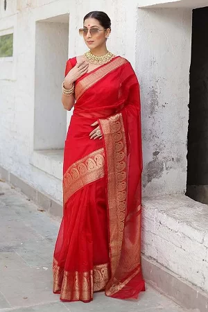 Pure Organza Saree with Copper Zari Kuber Border & Chitt Pallu | Designer Wedding & Festive Wear